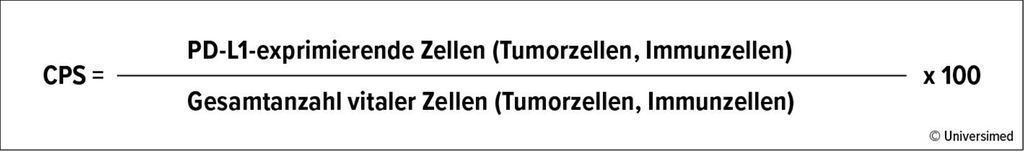 Immunhistochemie in der Mammapathologie: HER2 und PD-L1 - Onkologie